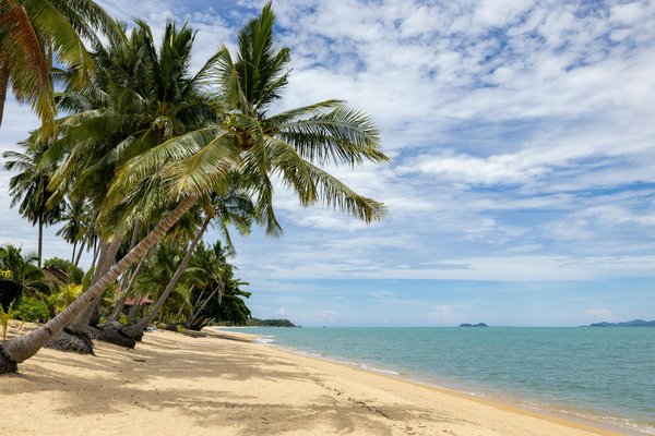 Votre guide ultime pour la location de véhicule à beauvais