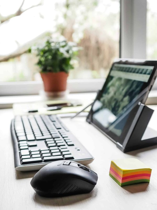 Techniques pour monter un abri improvisé en camping en cas de besoin.